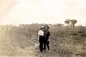 Farm_1943_13