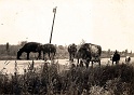 Farm_1943_2