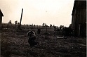 Farm_1943_3